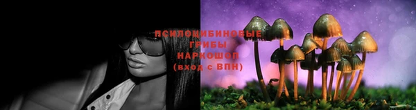 не бодяженный Чегем