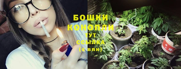 винт Чекалин