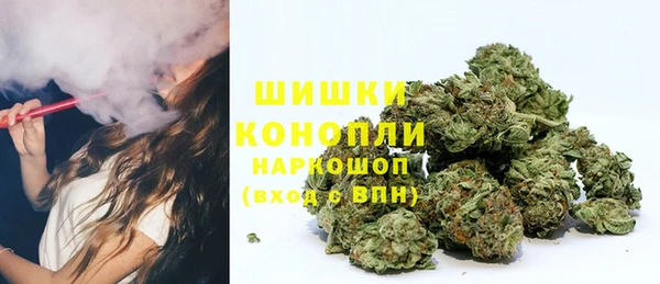винт Чекалин